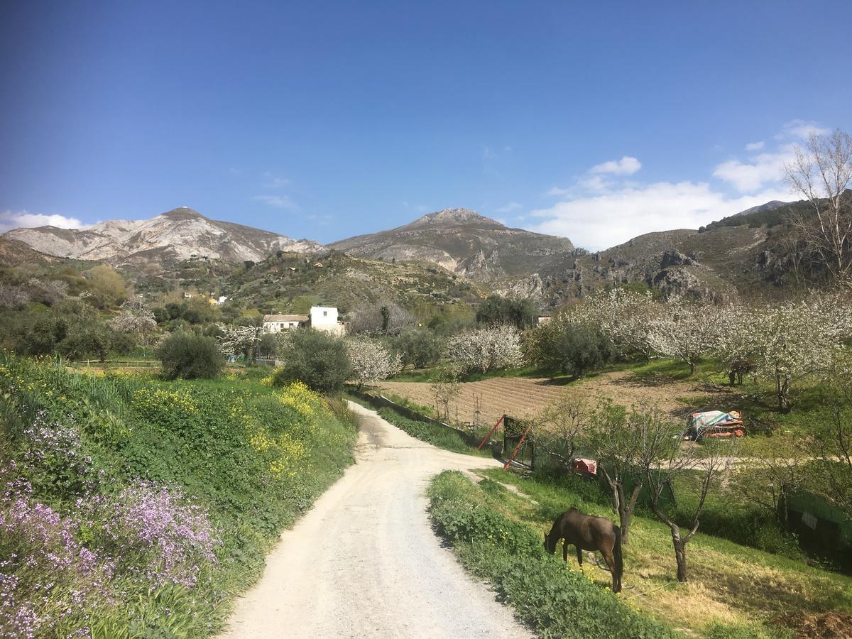 Hotel Rural Fuente La Teja Guejar Sierra Exterior foto